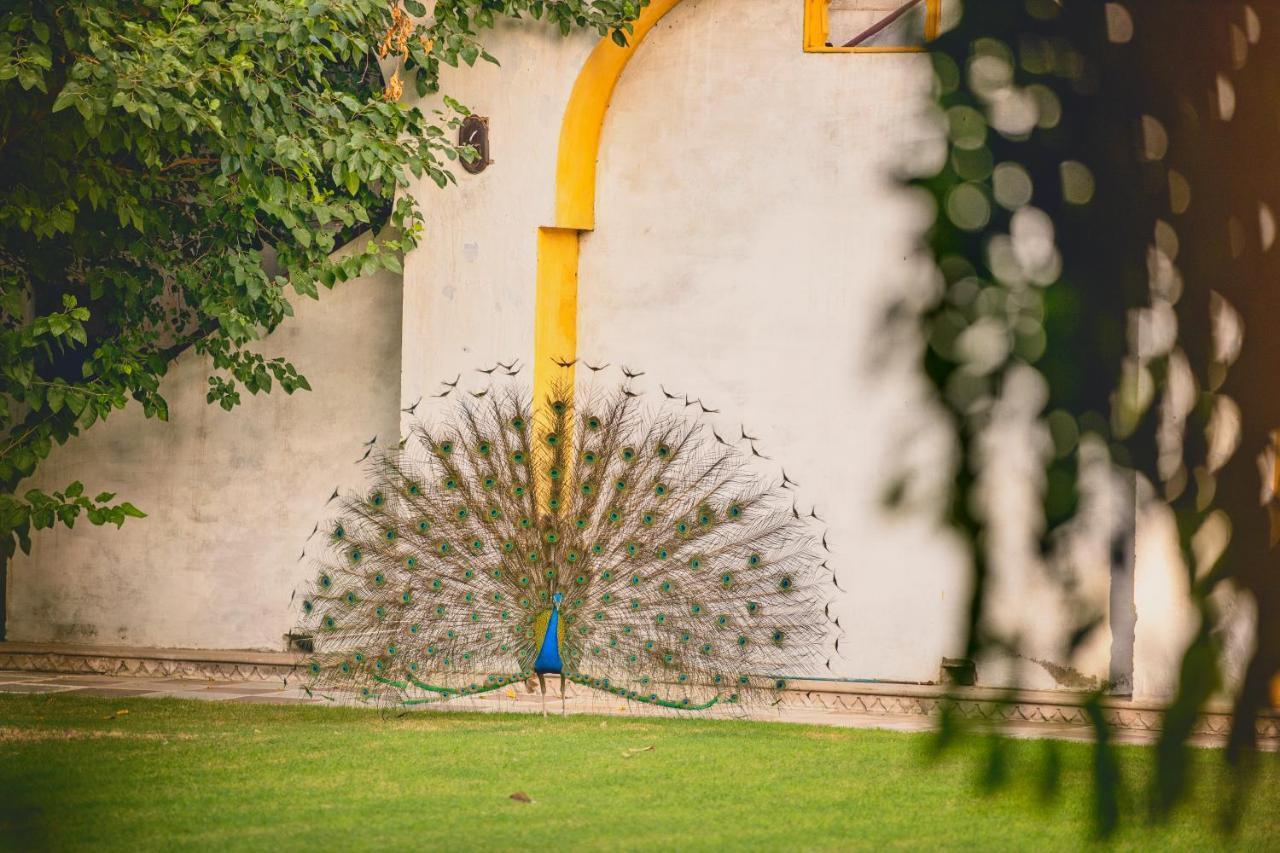 Diggi Palace - A City Center Hidden Heritage Gem Jaipur Dış mekan fotoğraf